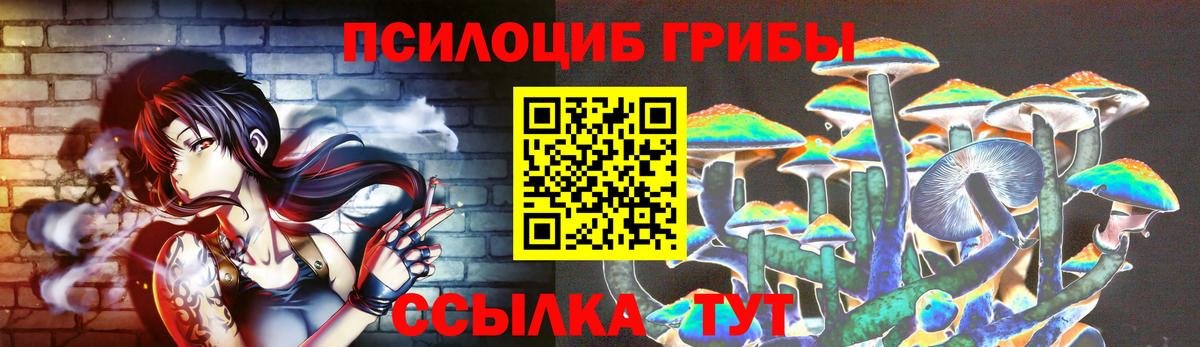 Галлюциногенные грибы Magic Shrooms  Вход с VPN  купить наркоту  Долгопрудный 